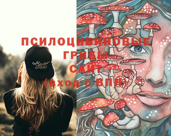 ALPHA-PVP Вязники