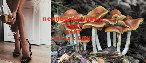 тгк Вяземский