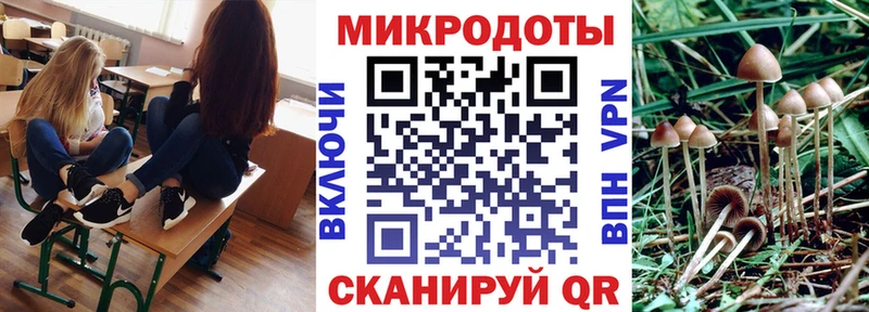 Галлюциногенные грибы прущие грибы Купить где Когалым